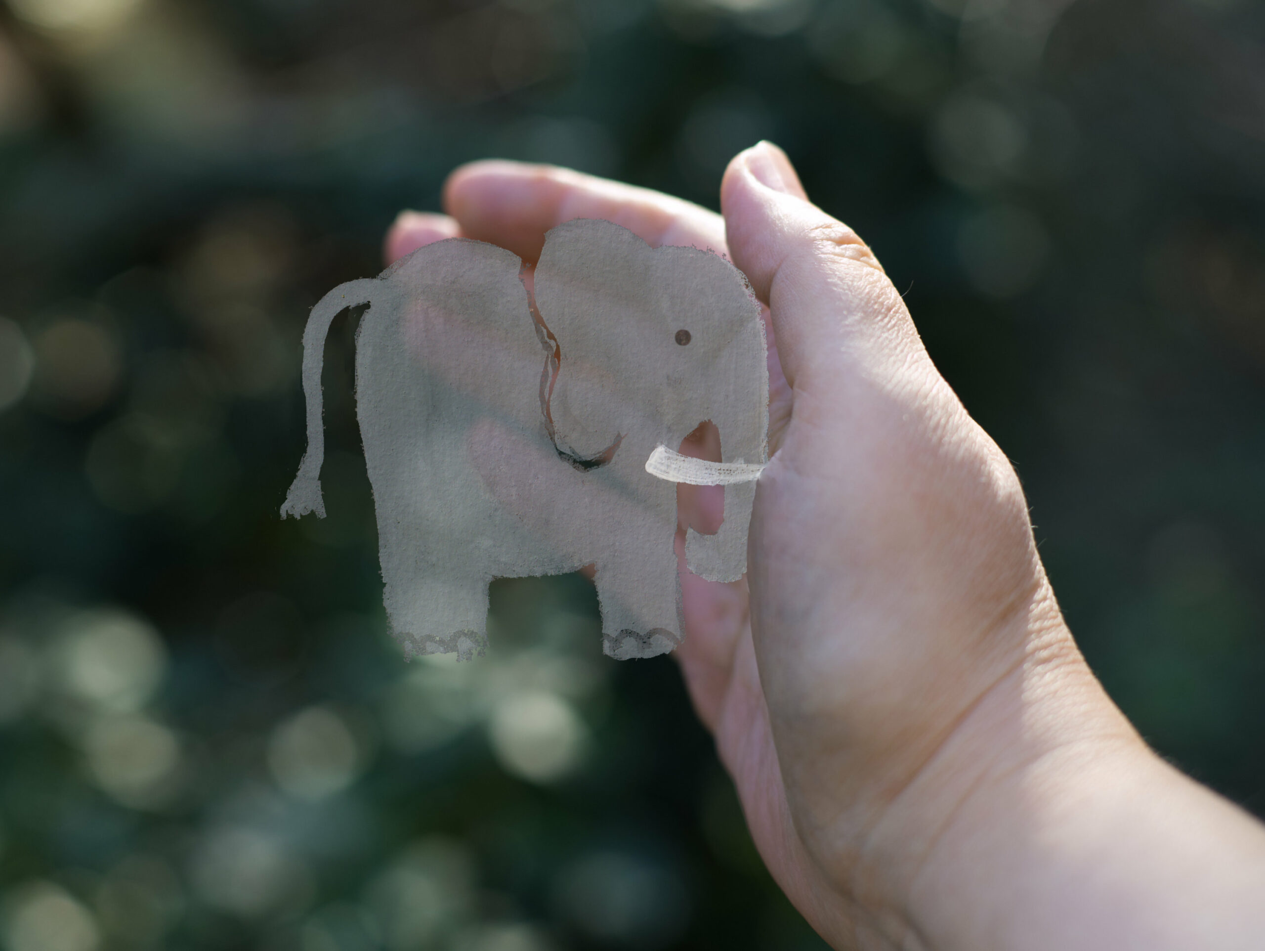 Elefant Widerstand