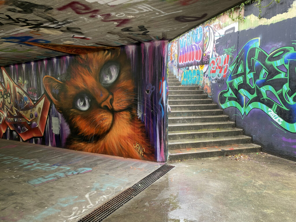 Graffiti Katze orange