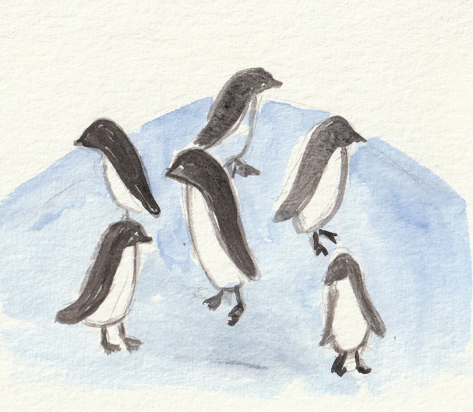 Pinguine eiskalt
