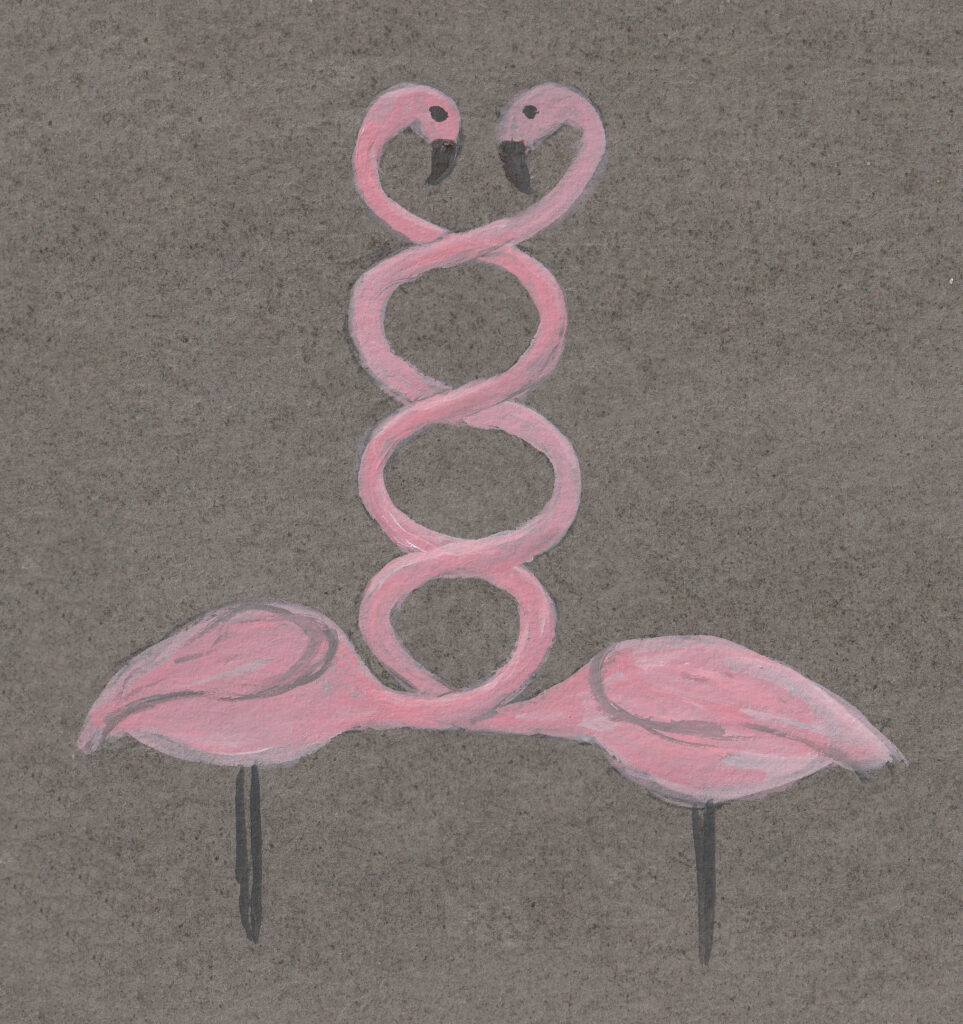 Flamingos verschränkt