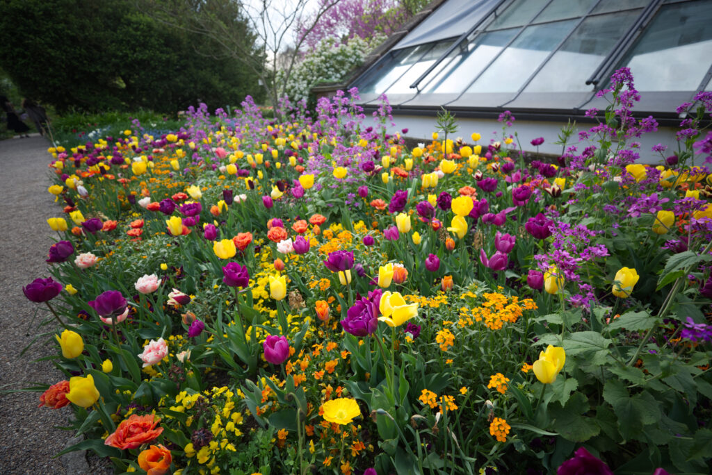 Blumen