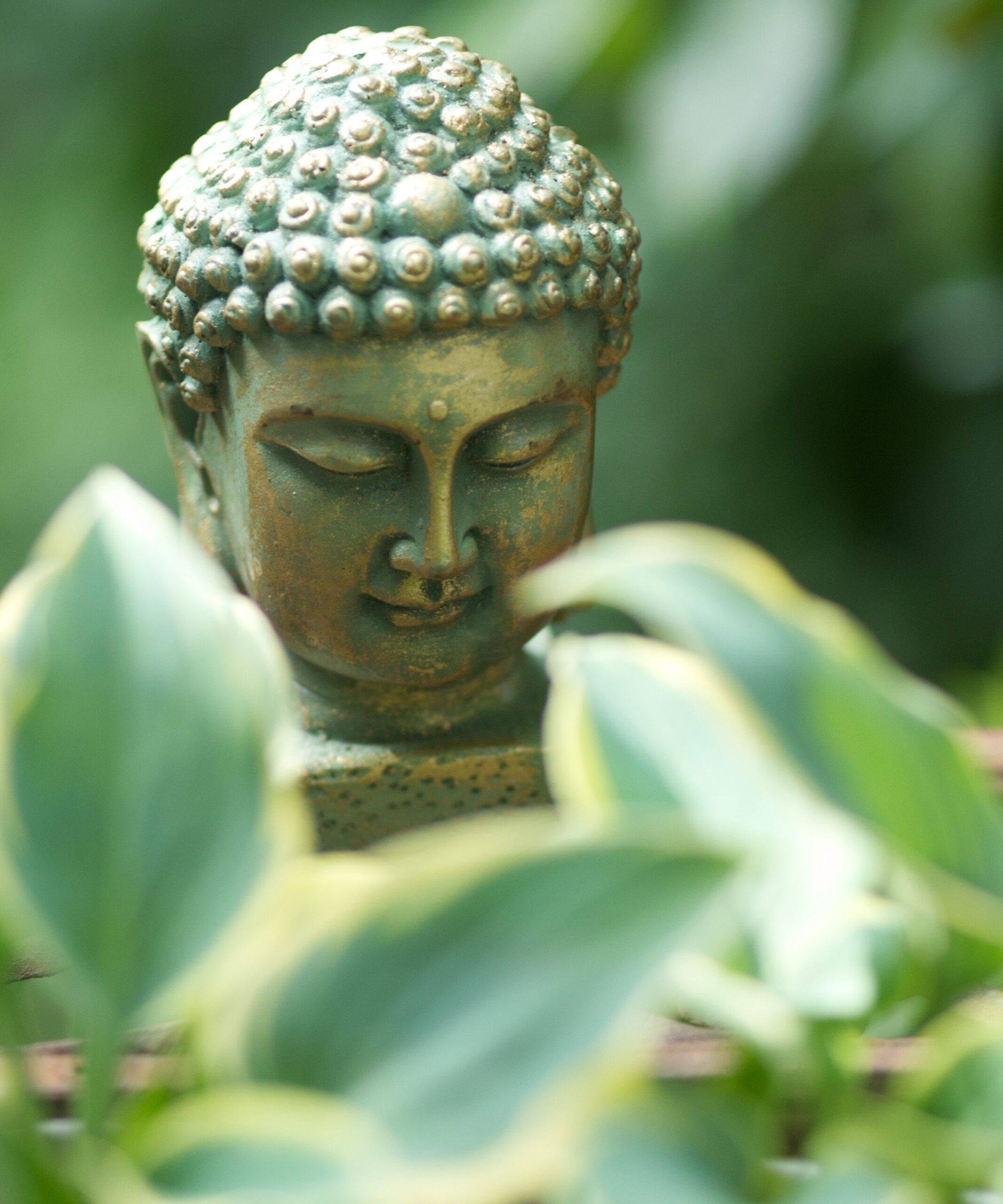 Buddha grün
