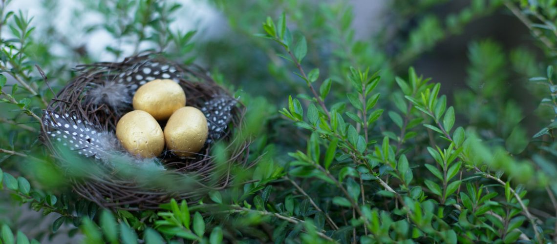 Nest Eier